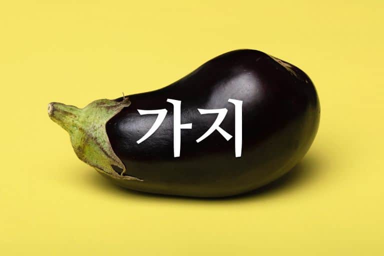 가지 삶은 물 효능