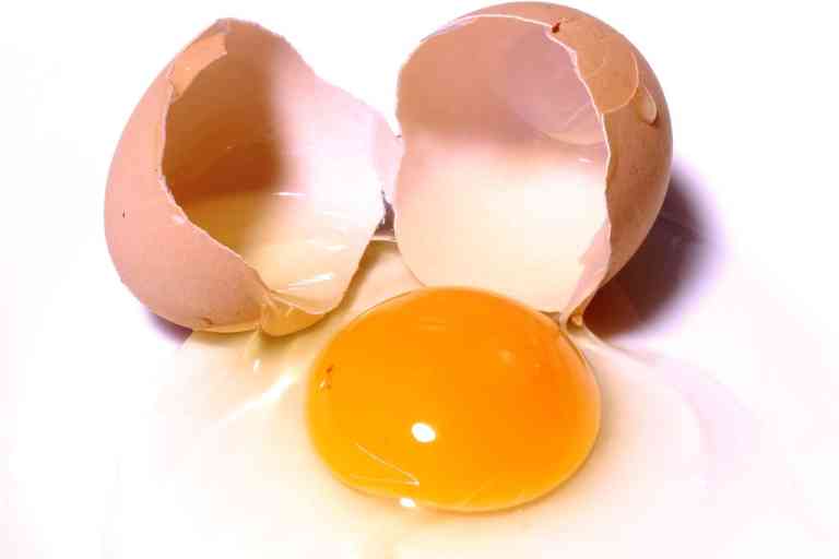 계란 콜레스테롤 진실과 진짜 정보 17가지