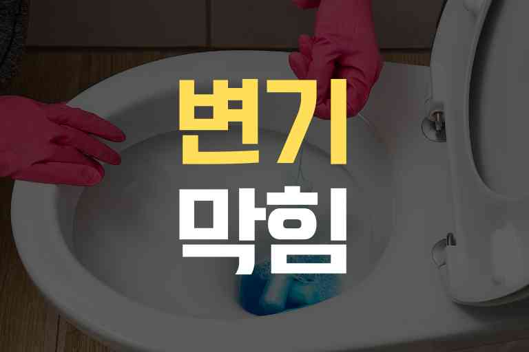 굵은 똥 변기 막힘 샴푸와 해결법 11 - 건강 뉴스