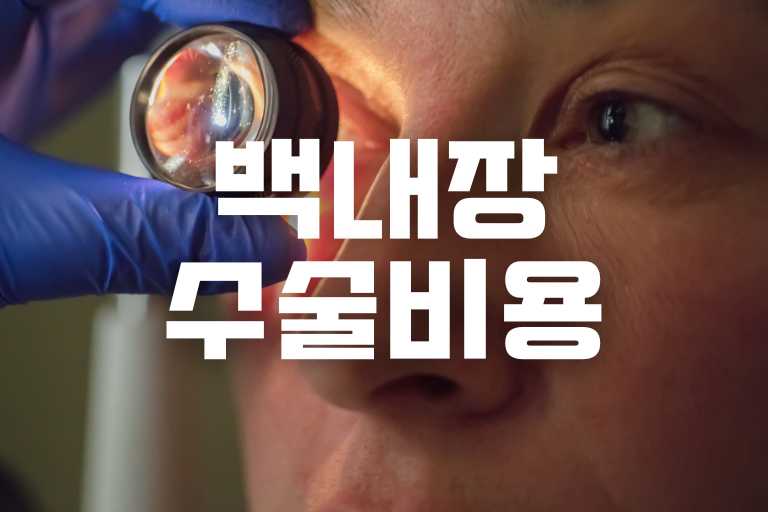 65세 이상 백내장 수술비용과 국가지원