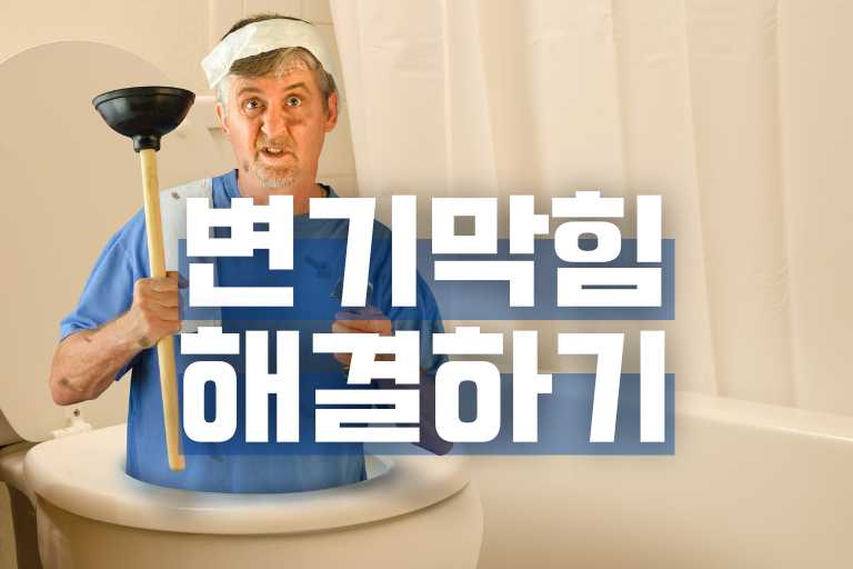 굵은 똥 변기 막힘 15가지 해결법 총정리