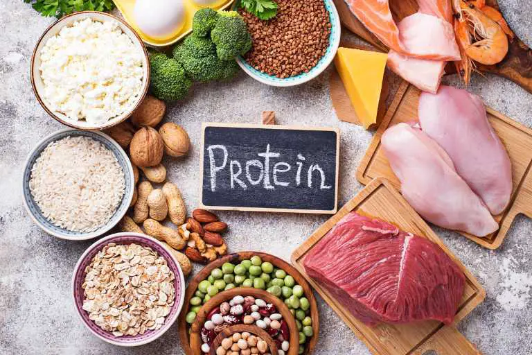 단백질 많은 음식 순위 Top 22 (동물성, 식물성)