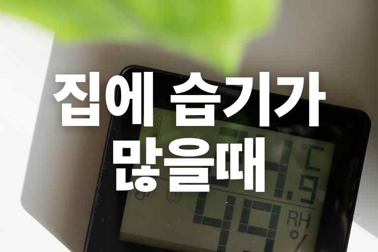 집에 습기가 많을때 필요한 14가지