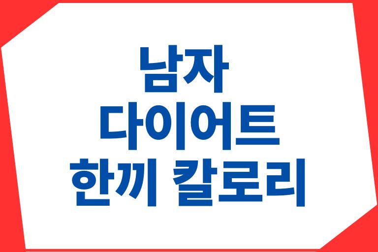 남자 다이어트 한끼 칼로리