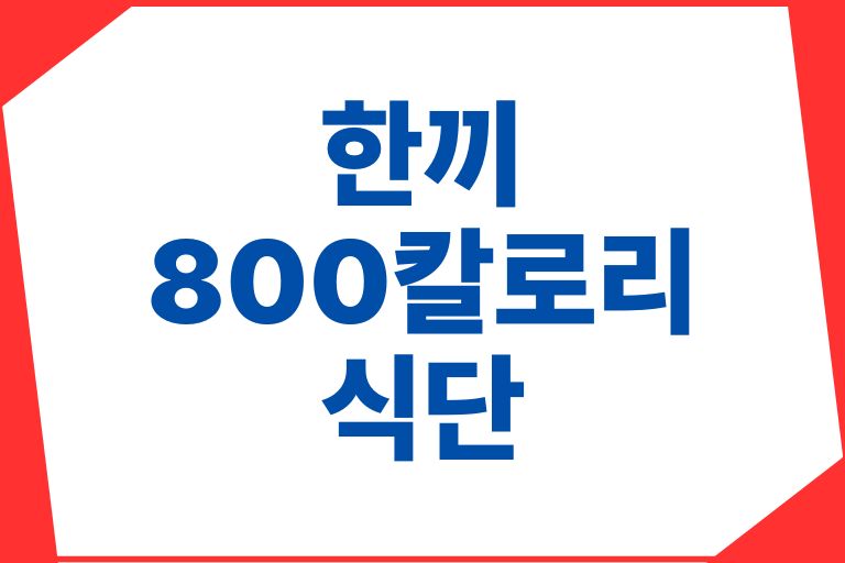 한끼 800칼로리 식단