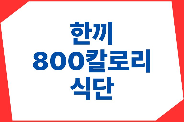 한끼 800칼로리 식단