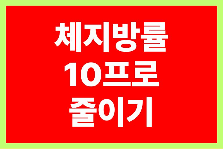 무조건 빠지는 체지방률 10프로 줄이기 13가지 비법