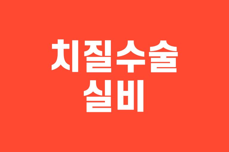 치질수술 실비