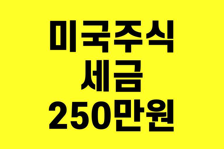 미국주식 세금 250만원