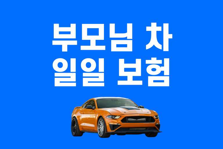 부모님 차 일일 보험