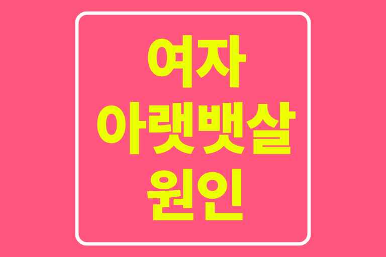 여자 아랫뱃살 원인