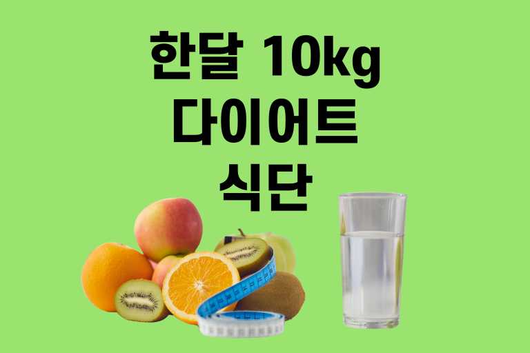 한달 10kg 다이어트 식단
