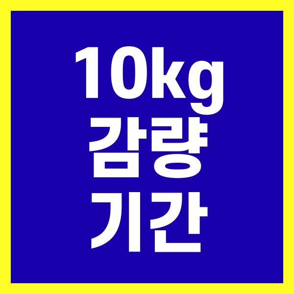 10kg 감량 기간 방법