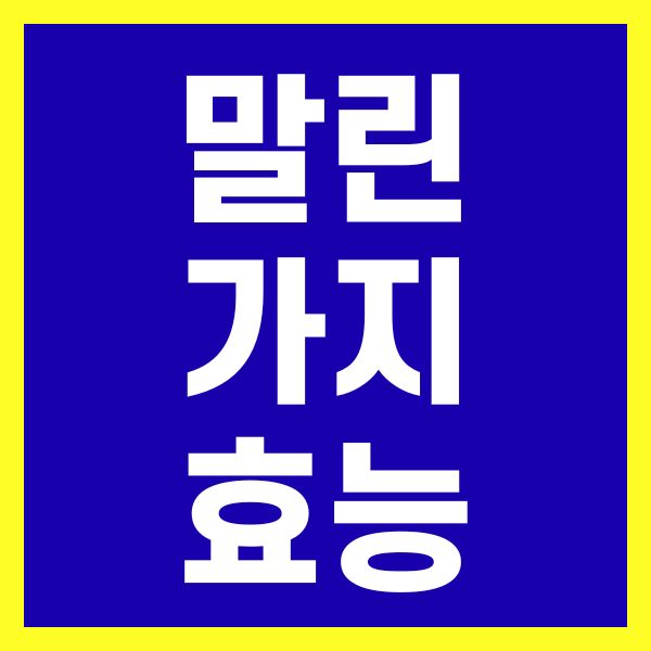 말린가지효능