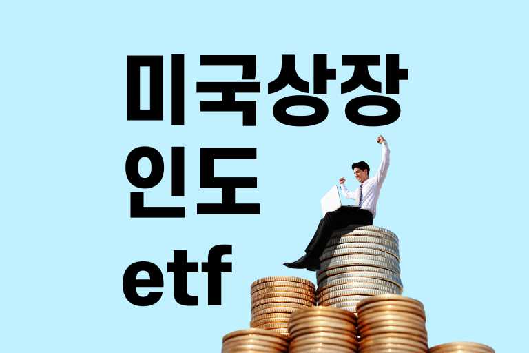미국상장 인도 etf