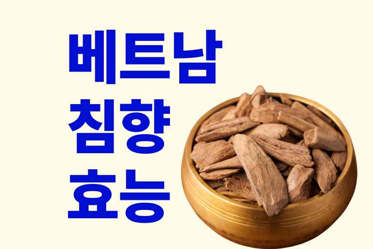 베트남 침향 효능