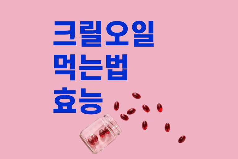 크릴오일 효능 먹는 방법