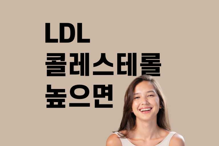 LDL 콜레스테롤 수치 높으면