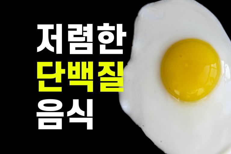 저렴한 단백질 음식