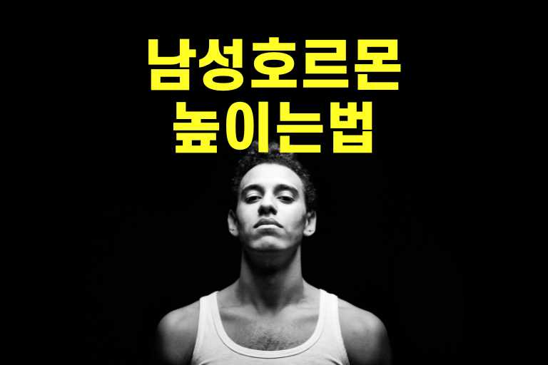 갱년기 남성호르몬 높이는법