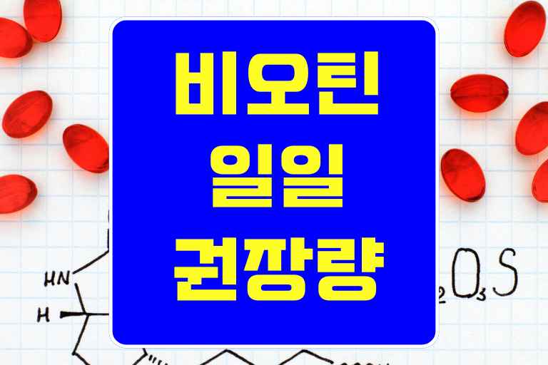 비오틴 일일 권장량