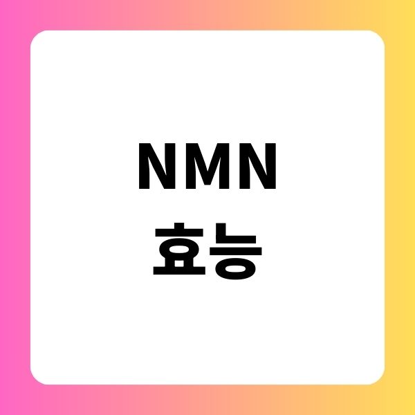 NMN 효능
