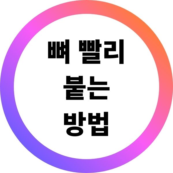 뼈 빨리 붙는 방법