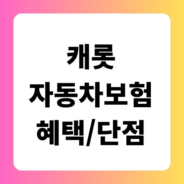 캐롯 퍼마일 자동차보험 혜택과 단점
