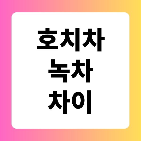 호치차 녹차 차이