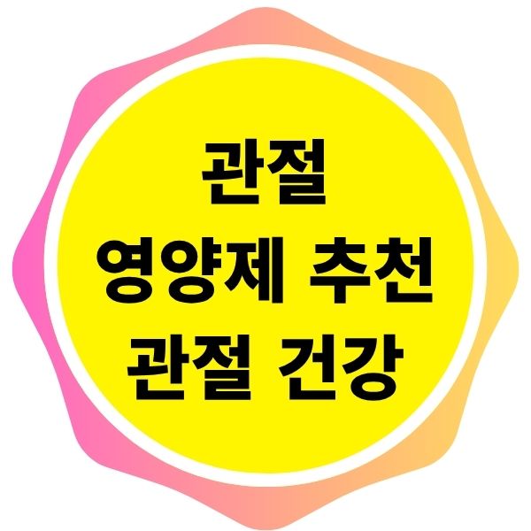 관절 영양제 추천 관절 건강